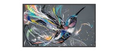 Philips 55" Q-Line 18/7 4K UHD