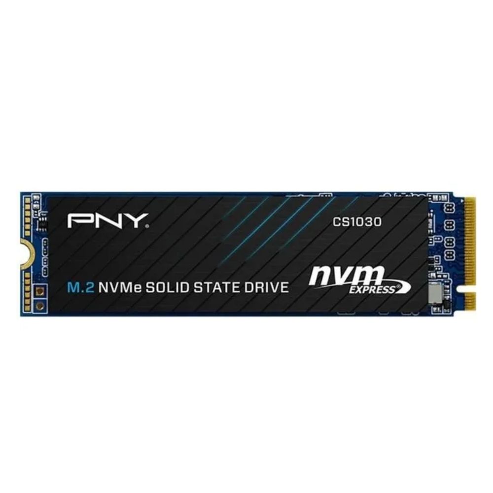 250Go M.2 NVMe Gen3 - CS1030 