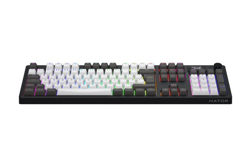 Skyfall 100 Pro Wireless - Noir/Gris