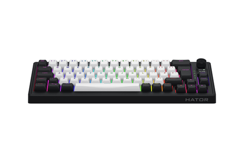 Skyfall 65 MAG Ultima 8K - Magnétique/Sans-Fil/RGB