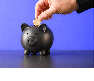 La maîtrise totale de votre budget informatique