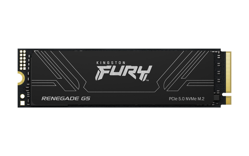 1To M.2 NVMe Gen5 - Fury Renegade G5