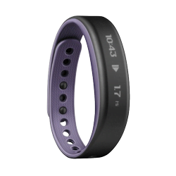 VIVOSMART  - Taille Small Violet
