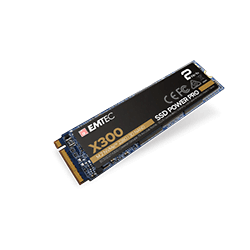 256Go M.2 NVMe Gen3 - ECSSD256GX300