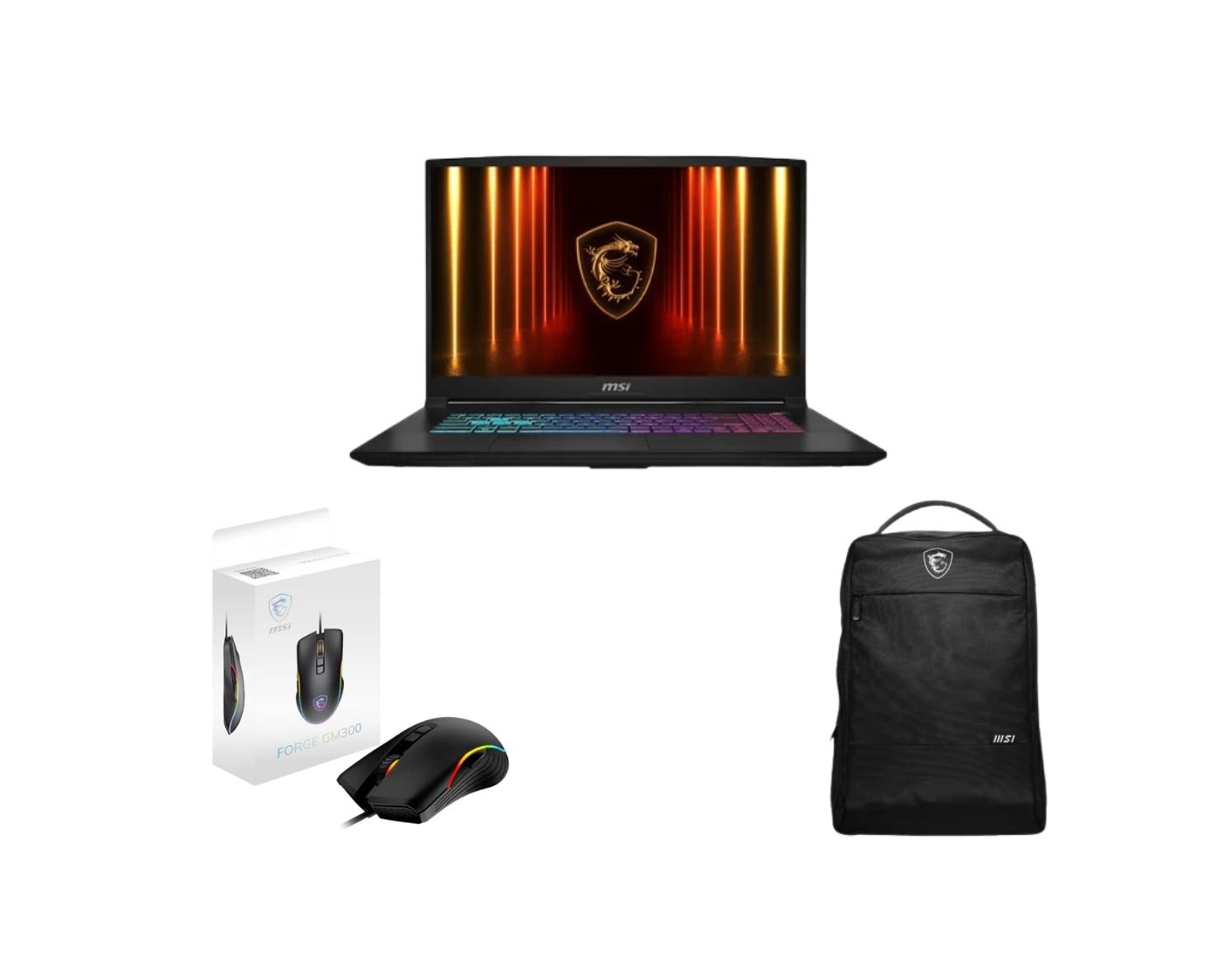 17.3"/i7-14650HX/5070/16/1T/W11 + sac + souris